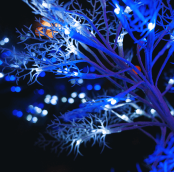 Дерево светодиодное "Морозко", 50 см. 54 светодиода. Синий и белый свет. Провод белый. Uniel.